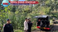 Tidak berjudul