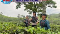 Gambar WhatsApp 2025-06-12 pukul 19.30.25_b40d8018