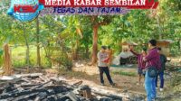 Gambar WhatsApp 2025-06-16 pukul 14.08.51_89ecdf1e